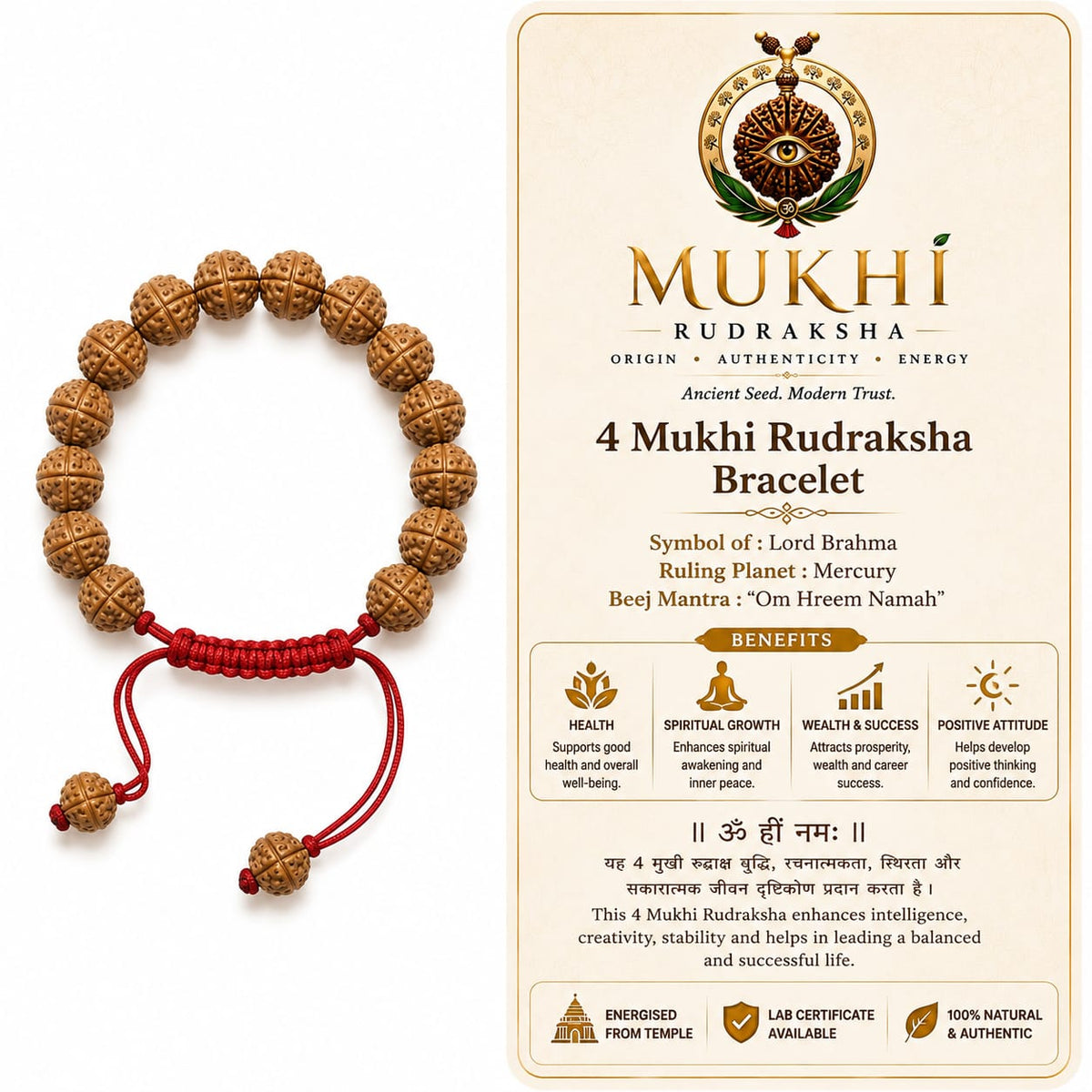 4 Mukhi- Rudraksha Bracelet